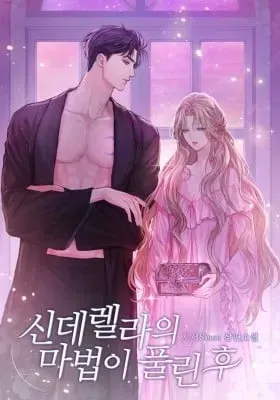 Cover of After Cinderella's Magic Is Broken