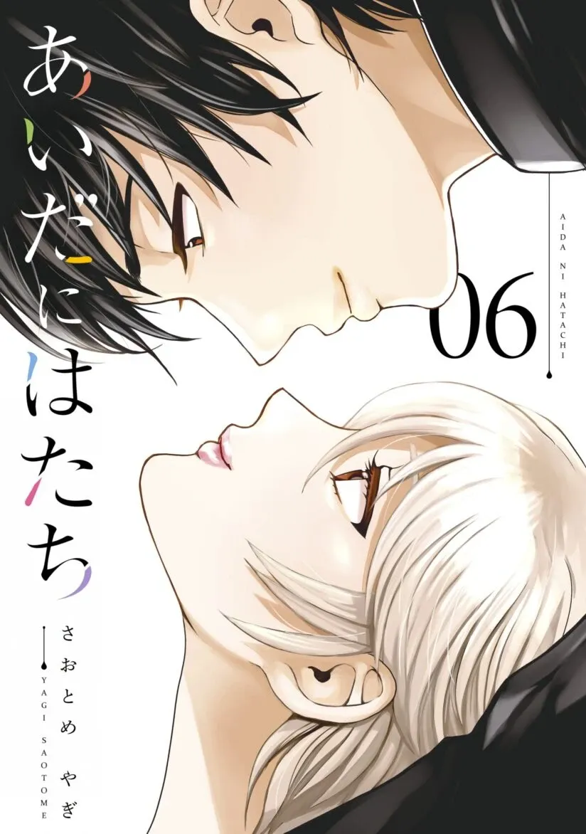 Cover of Aida ni Hatachi