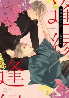 Cover of Aien Catharsis
