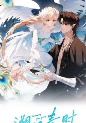 Cover of Back to Spring