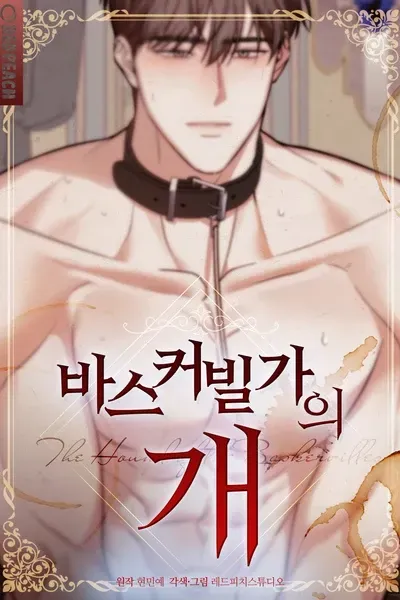 Cover of Baskerville-gaui Gae