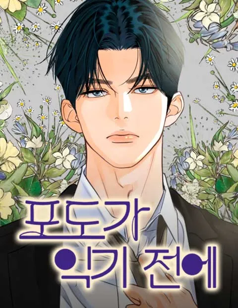 Cover of Before the grapes ripen