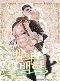Cover of Belle's Lily