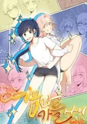 Cover of Between Summer & Fall