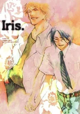 Cover of Bleach dj - After Iris