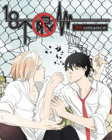 Cover of Bromance