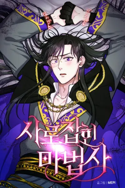 Cover of Captured Wizard