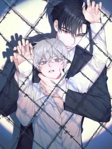 Cover of Chained to You