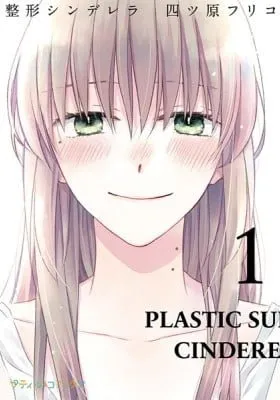 Cover of Cinderella in Plastic