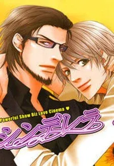 Cover of Cinderella Plot