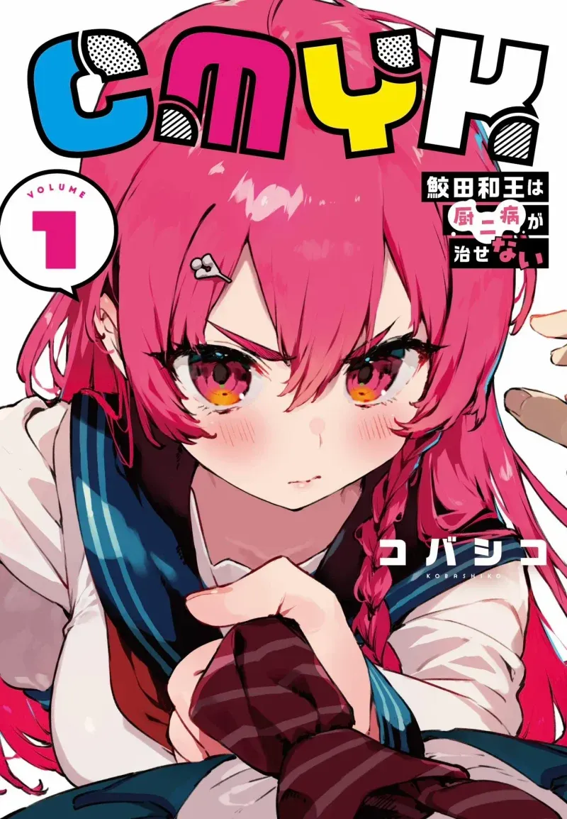 Cover of CMYK