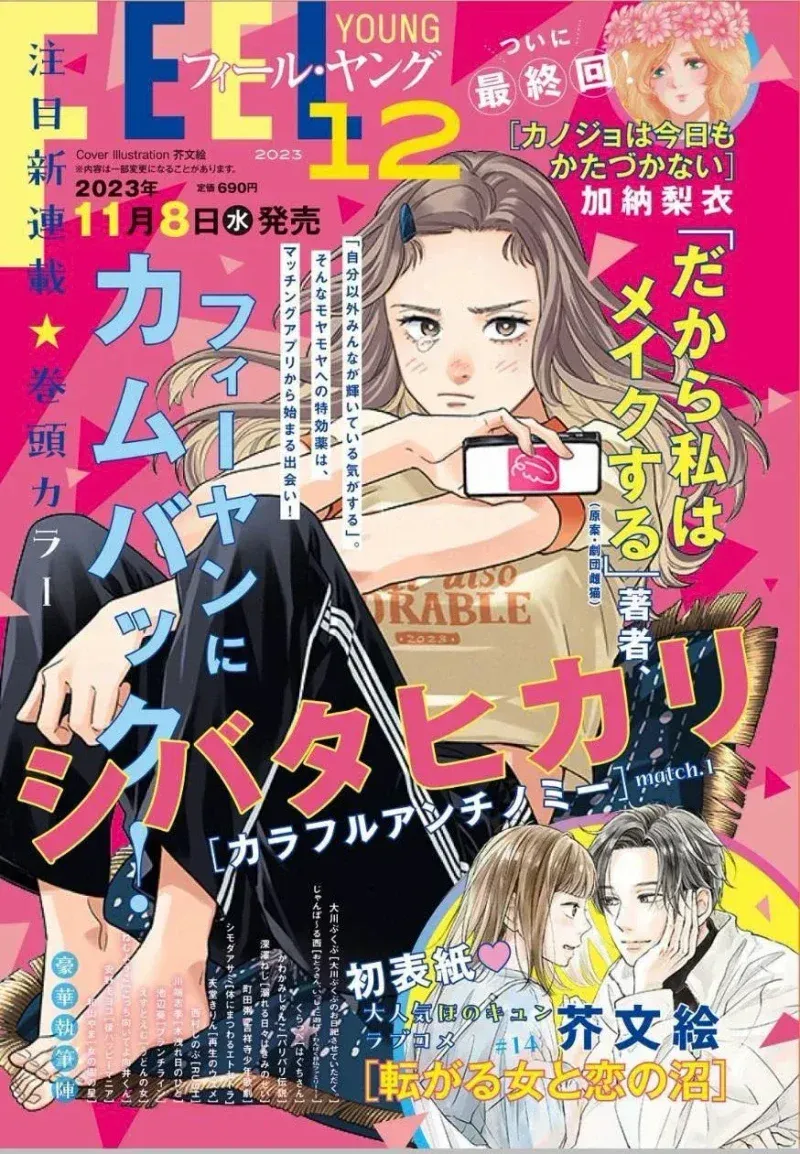 Cover of Colorful Antinomy