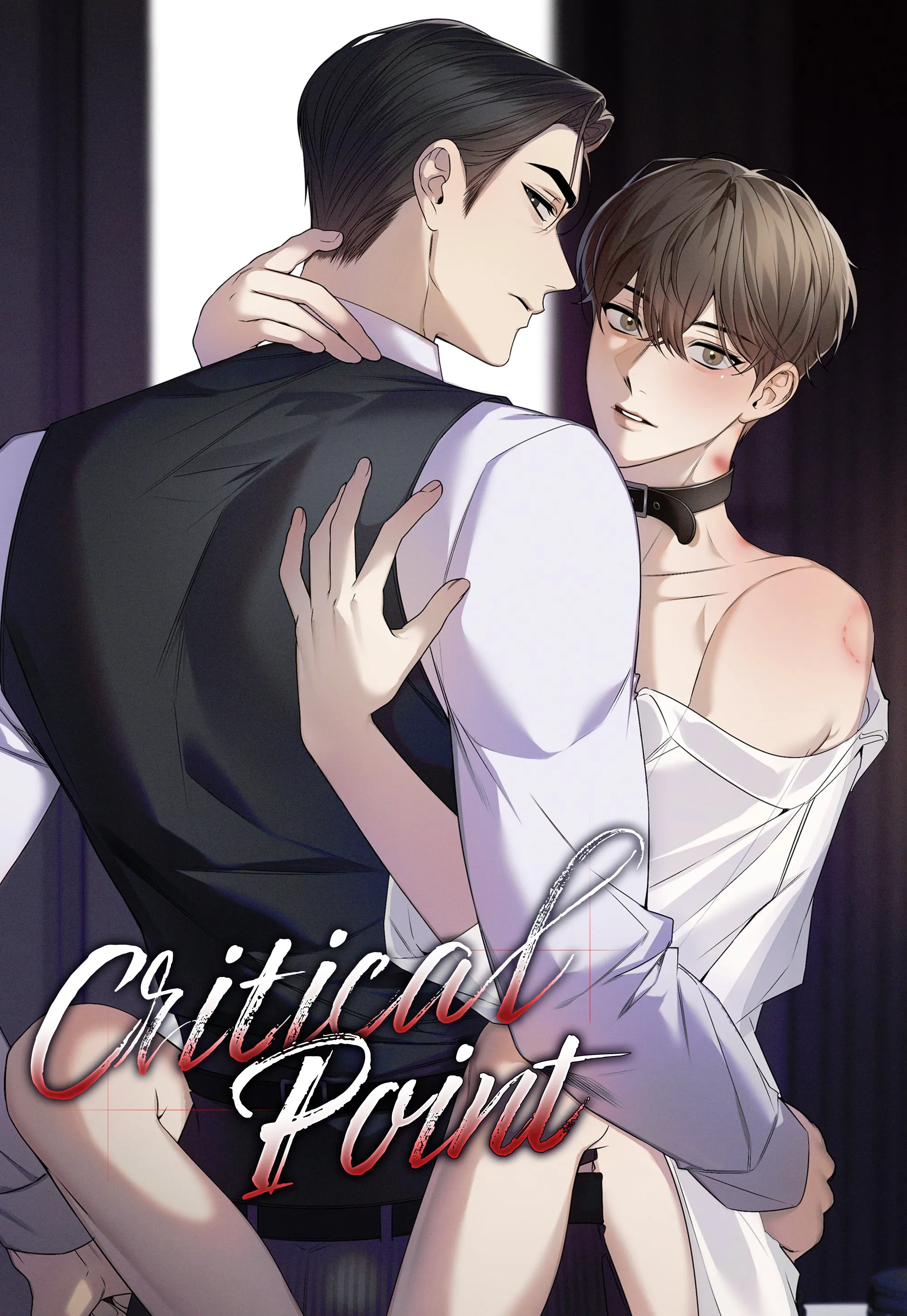 Cover of Critical Point