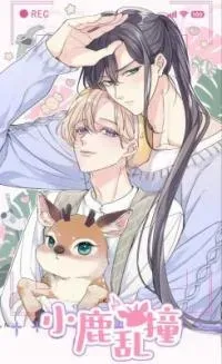 Cover of Deer Flutter