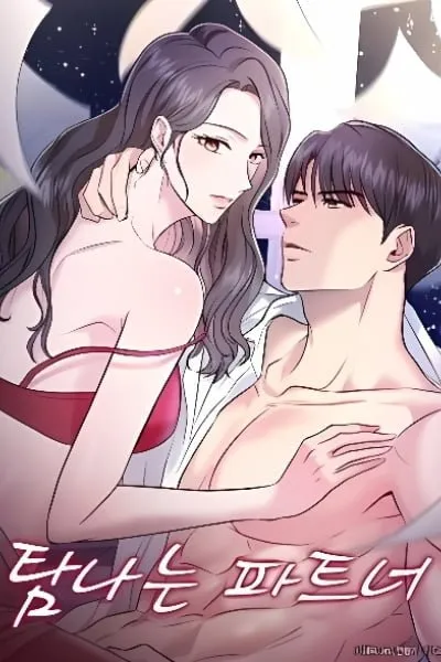 Cover of Desirable Partner