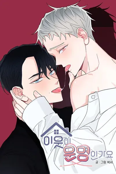 Cover of Destiny Next Door