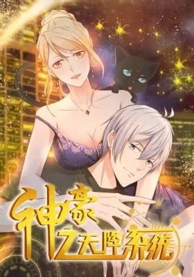 Cover of Divine Hero's Skyfall system