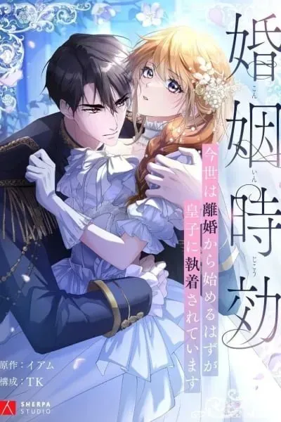 Cover of Divorce was the plan, but the prince won't let me go