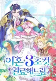 Cover of Divorce Will Be Completed in 3 Seconds