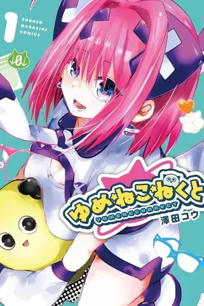 Cover of Dreamcatnect