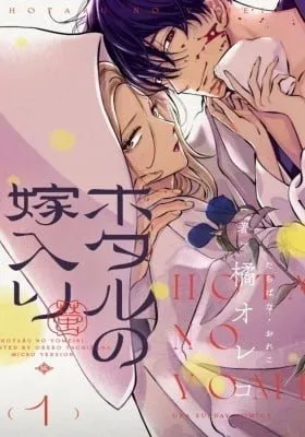 Cover of Firefly Wedding