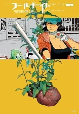 Cover of Fool Night