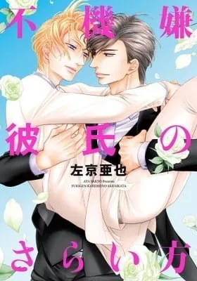 Cover of Fukigen Kareshi no Saraikata