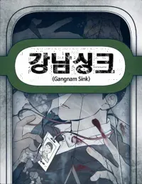 Cover of Gangnam Sink