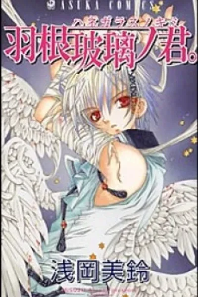 Cover of Glass Wings