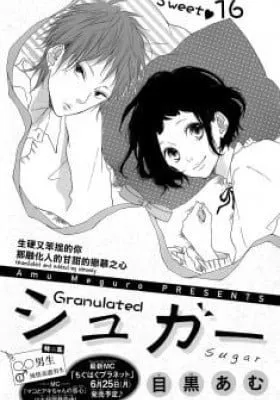 Cover of Granulated Sugar