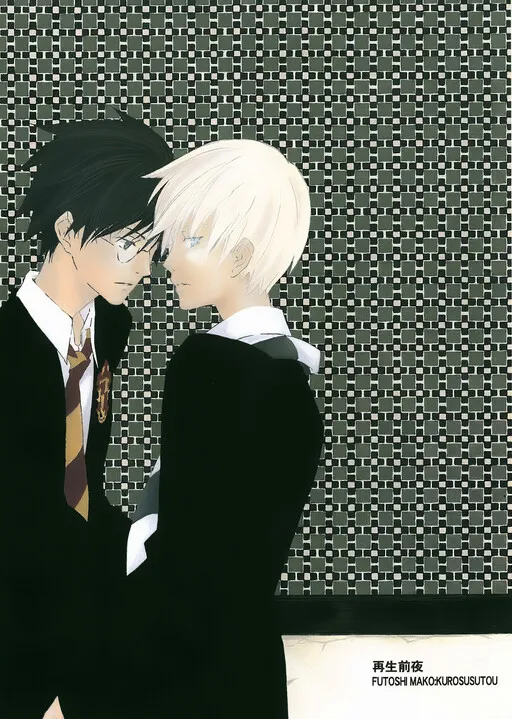 Cover of Harry Potter - The Night Before Being Reborn (Doujinshi)