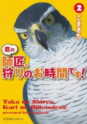 Cover of Hawk Master, It's Hunting Time!