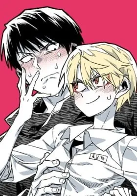 Cover of High School Boy