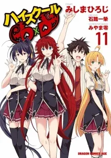 Cover of High School DxD