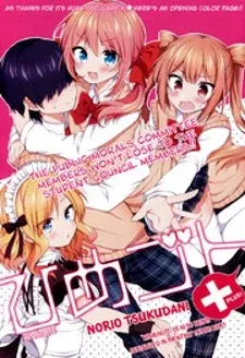 Cover of Himegoto+