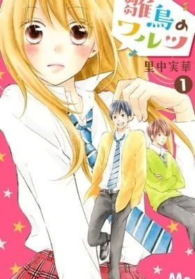 Cover of Hinadori no Waltz