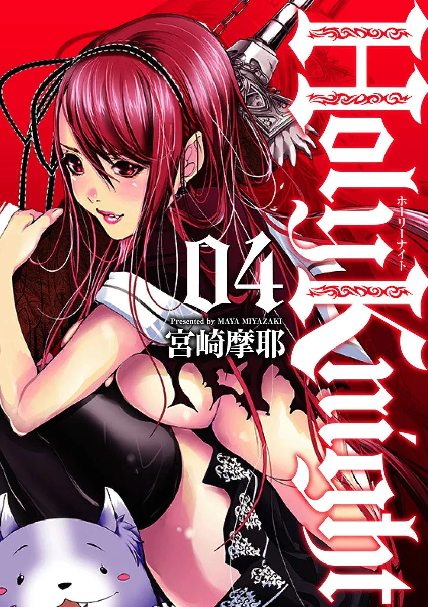 Cover of Holy Knight