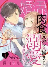 Cover of Hooked On Matchmaking, My Ravenous Ex Caught & Is Obsessed With Me!