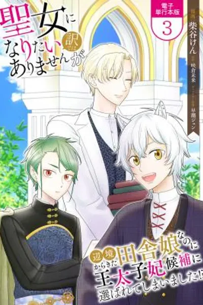 Cover of I Don't Want to Become a Saint