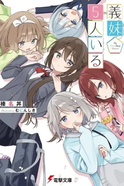Cover of I Have 5 Stepsisters