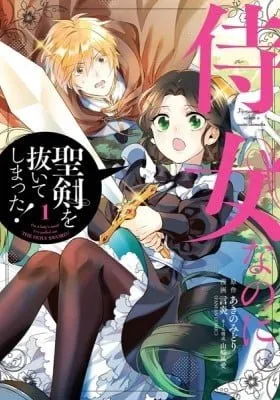 Cover of I'm a Maid, but I've Pulled Out the Holy Sword?!