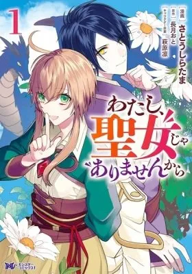 Cover of I'm No High Priestess