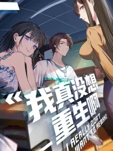 Cover of I Really Don't Want to Remake