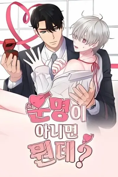 Cover of If It's Not Fate, What Is It?