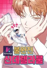 Cover of Imperfect Cinderella Story