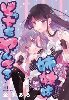 Cover of Insecure Herami Sisters