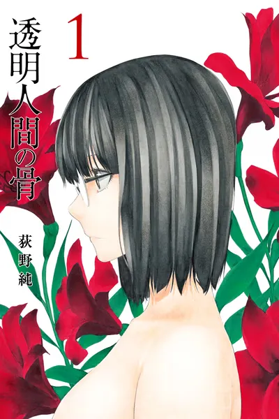 Cover of Invisible