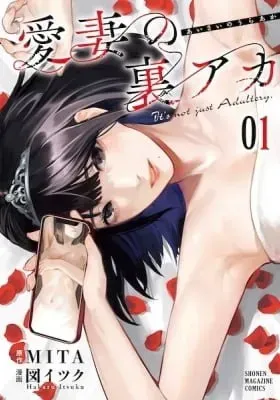Cover of It's Not Just Adultery.