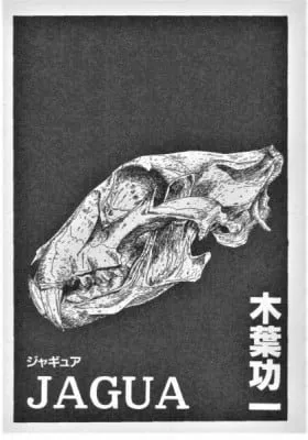 Cover of Jaguar
