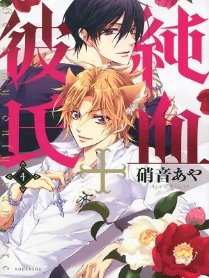 Cover of Junketsu + Kareshi